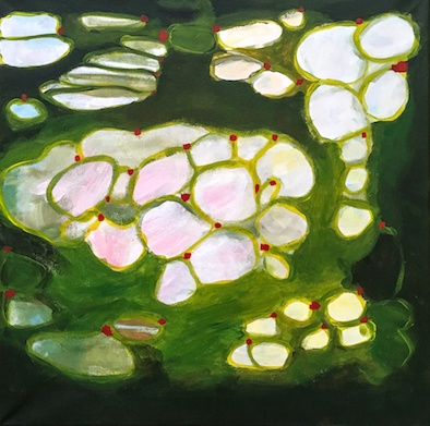 water lilies I